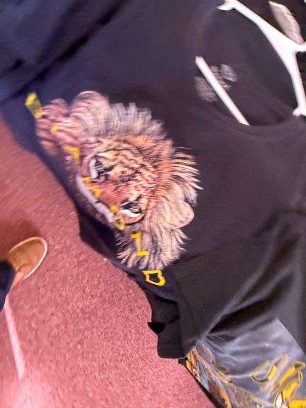 T-Shirts: Anime, Hip Hop, and Lions, Oh My! image
