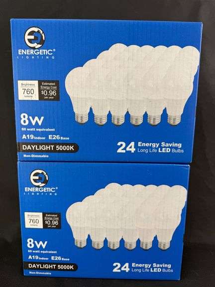Two Boxes of 24 Energetic Lighting LED Light Bulbs image
