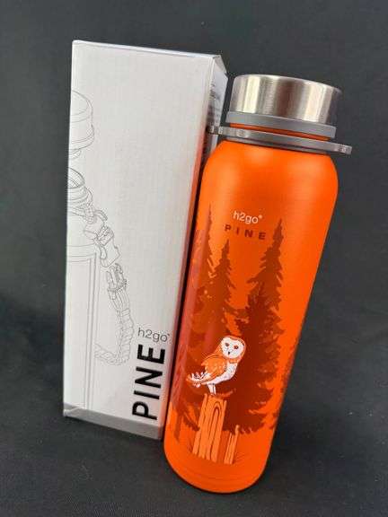 h2go Pine 32oz Insulated Stainless Steel Water Bottle with Owl Design image