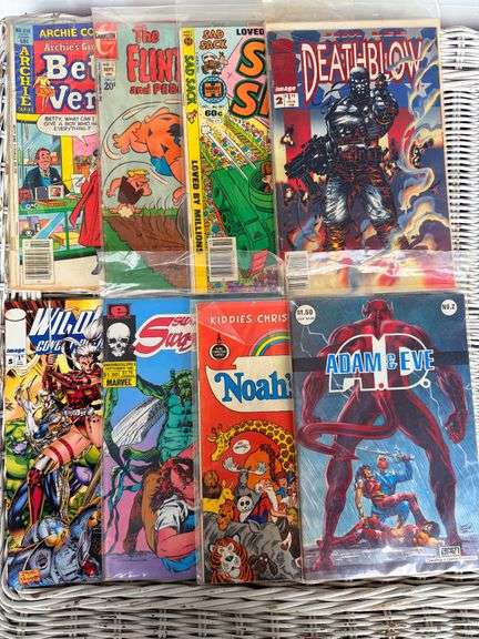 Comic Book Collection - Swashbucklers, Wild Cats, Adam & Eve, Flintstones, and More! image