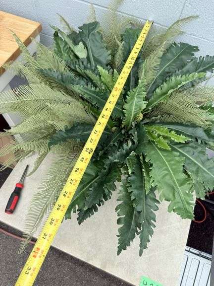 Two Decorative Plant Arrangements