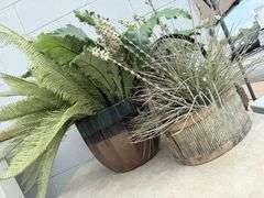 Two Decorative Plant Arrangements