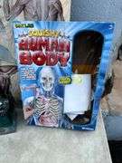 Human Anatomy Book, Anatomy Model & Biology Model Set
