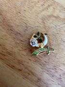 Lions, Masons, FOE, Key Club & IBEW Pins