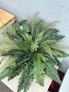 Two Decorative Plant Arrangements