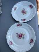 Walbrzych Fine China Set, Made in Poland, Floral Design