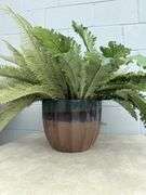 Two Decorative Plant Arrangements