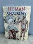 Human Anatomy Book, Anatomy Model & Biology Model Set