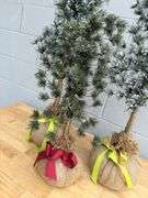 Set of Three Decorative Christmas Trees with Burlap Bases