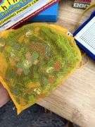 Educational Learning Games - Teaching Tiles, Lite Brite, and More