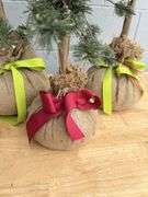 Set of Three Decorative Christmas Trees with Burlap Bases
