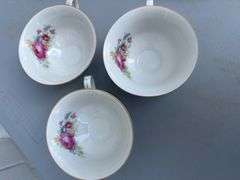 Walbrzych Fine China Set, Made in Poland, Floral Design