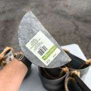 Lot of Galvanized Metal Buckets with Rope Handles