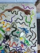 Collection of Plastic Insects and Snake Toys