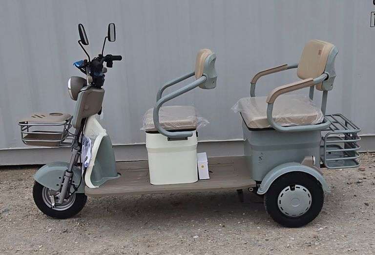 SD Lanch Model IRGC40 Mini Golf Cart image
