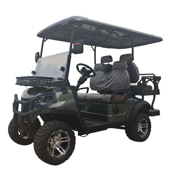 SDLanch SDLGC80 Golf Cart image