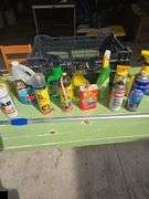 Collection of automotive care products