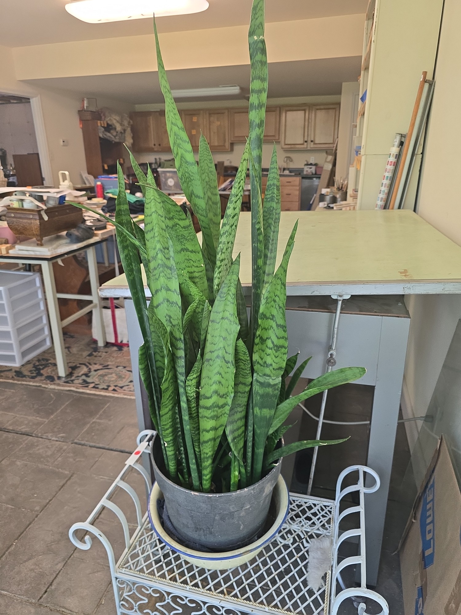 Lot image 1