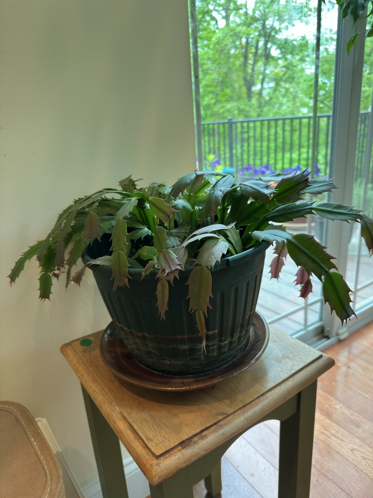 Lot image 1