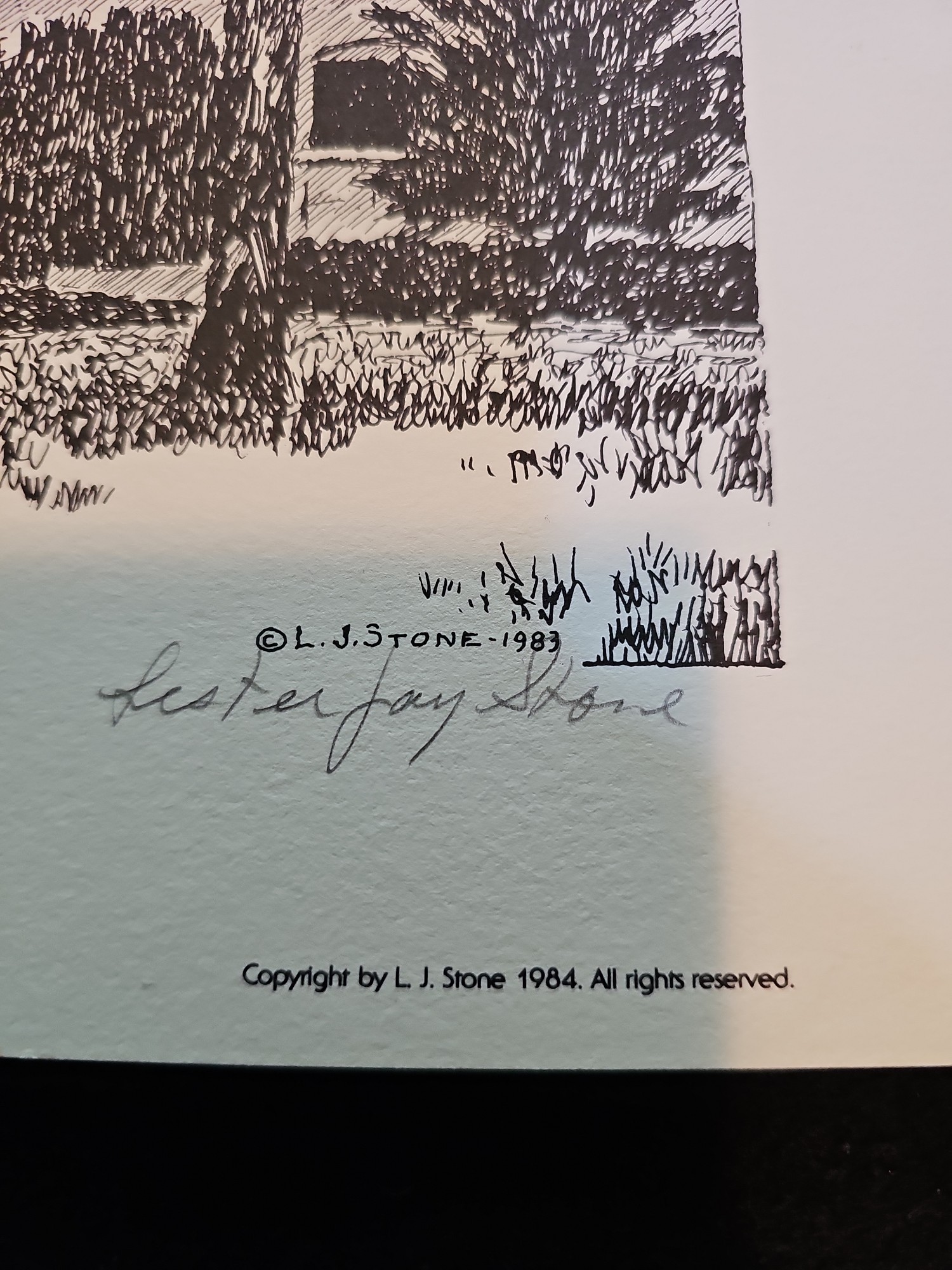Lot image 5