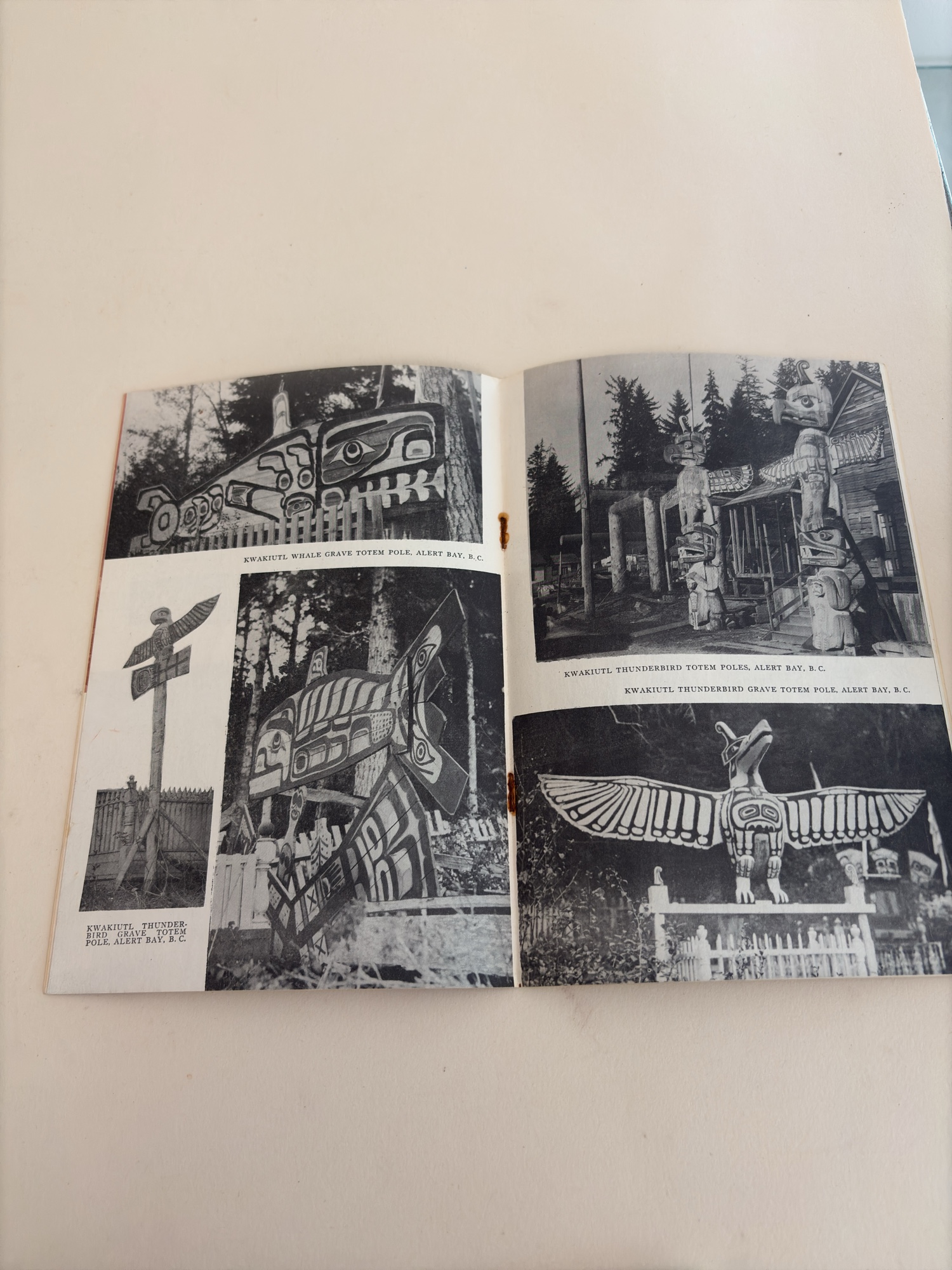 Lot image 6