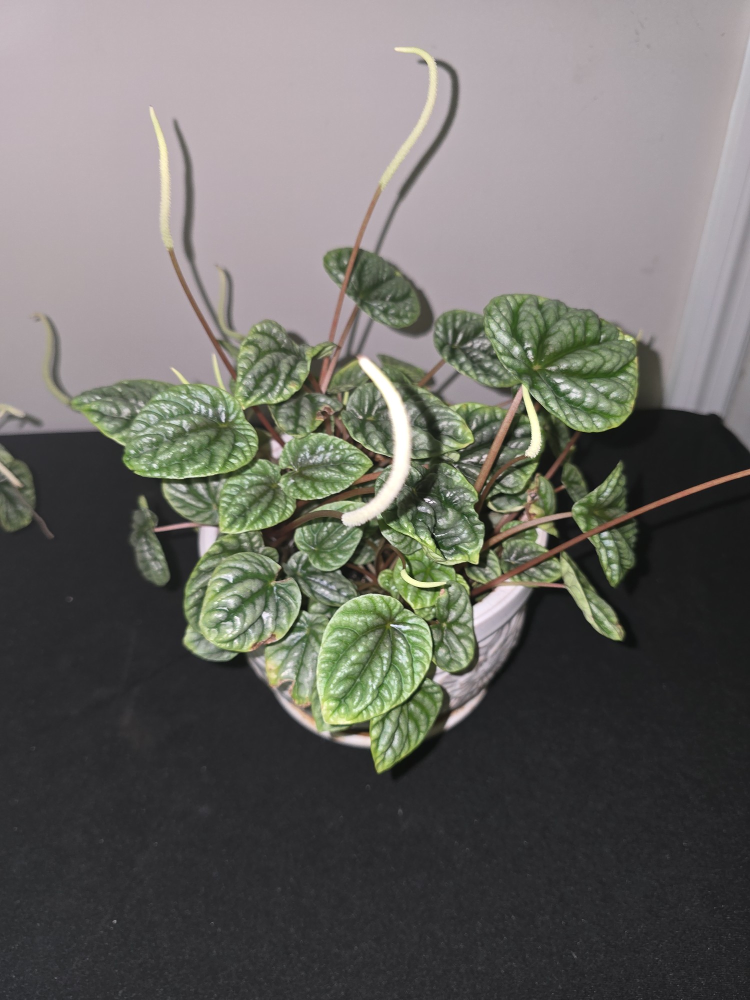 Lot image 3