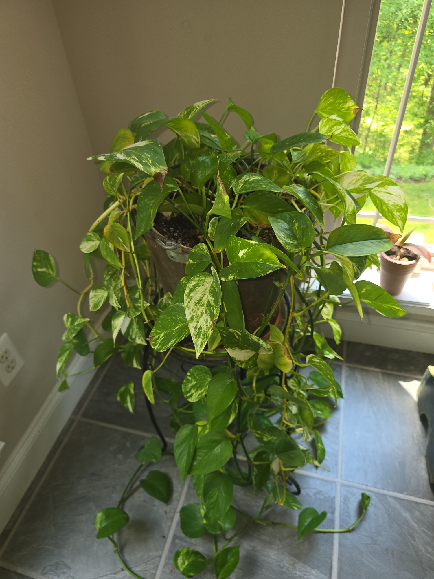Lot image 1