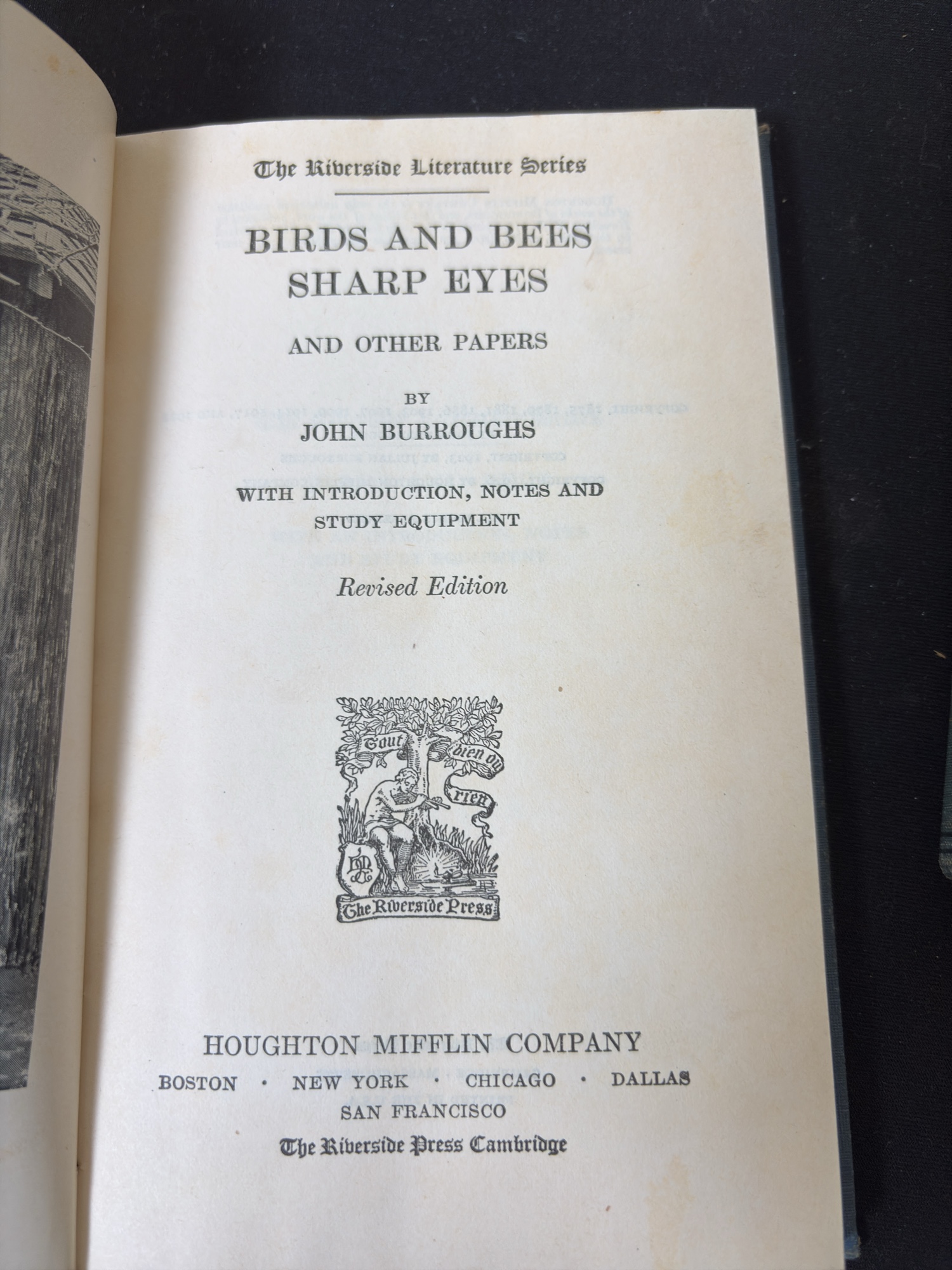 Lot image 4