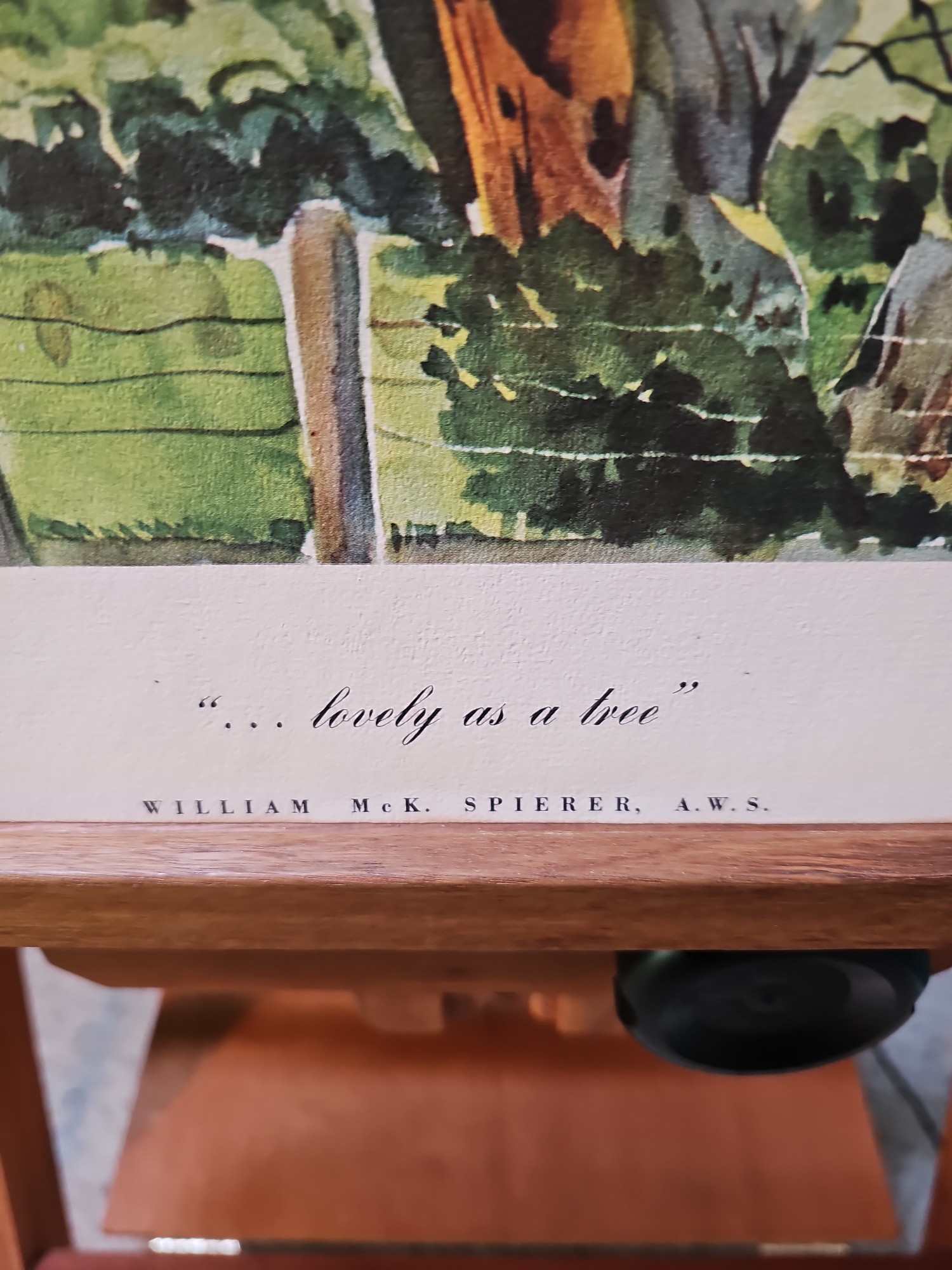 Lot image 3