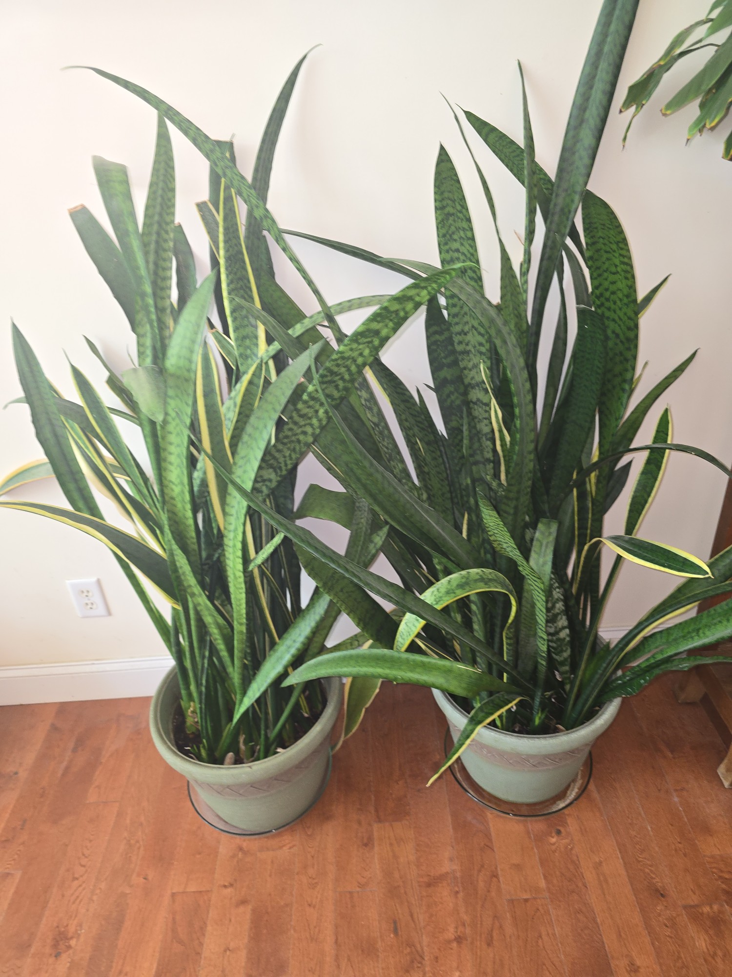 Lot image 1