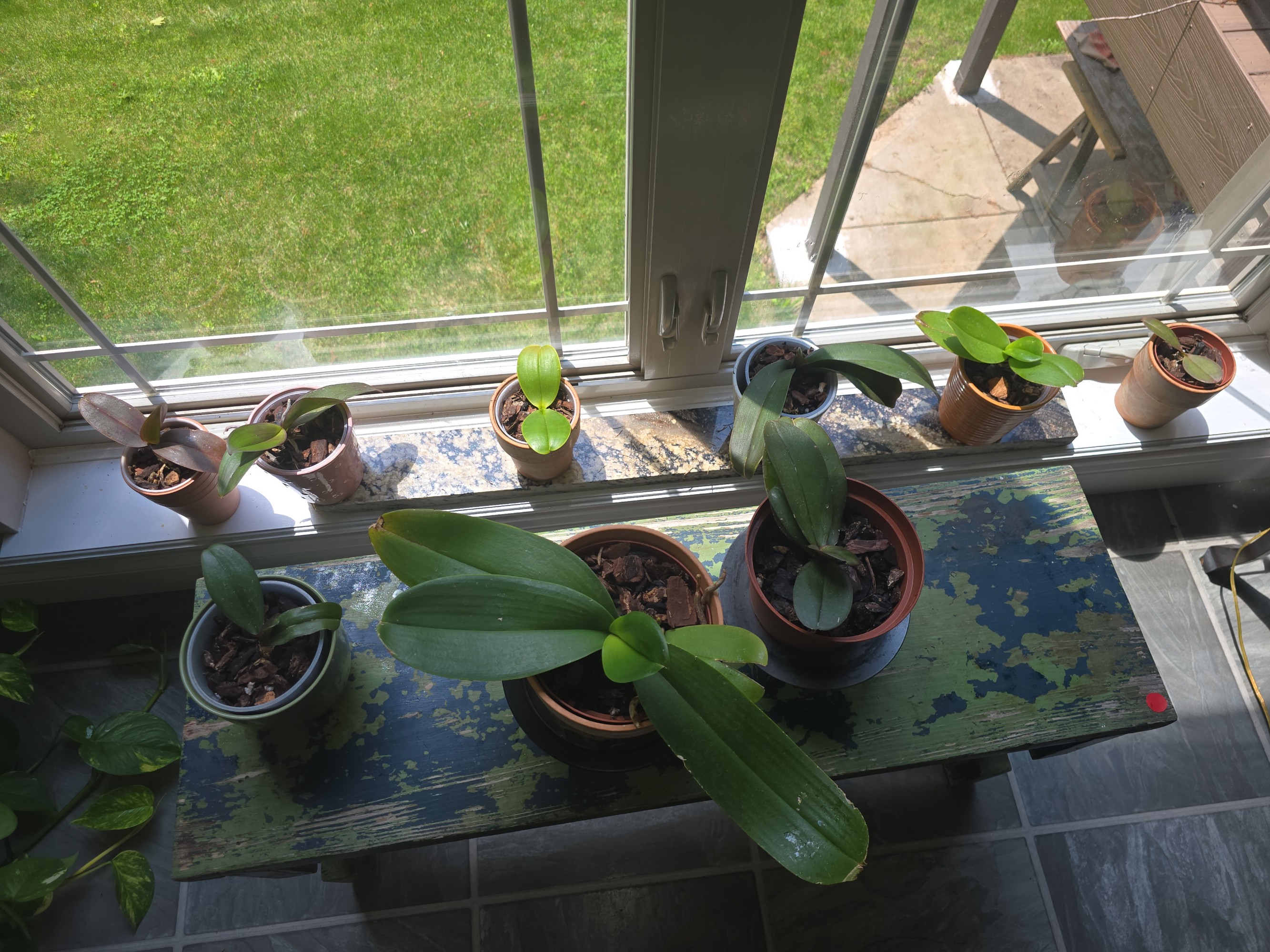 Lot image 1