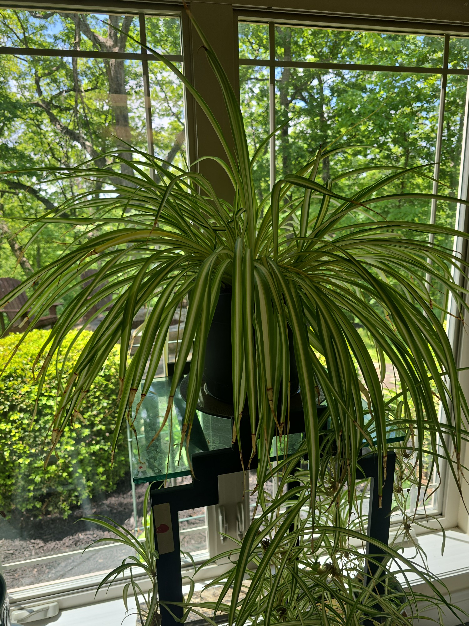 Lot image 1