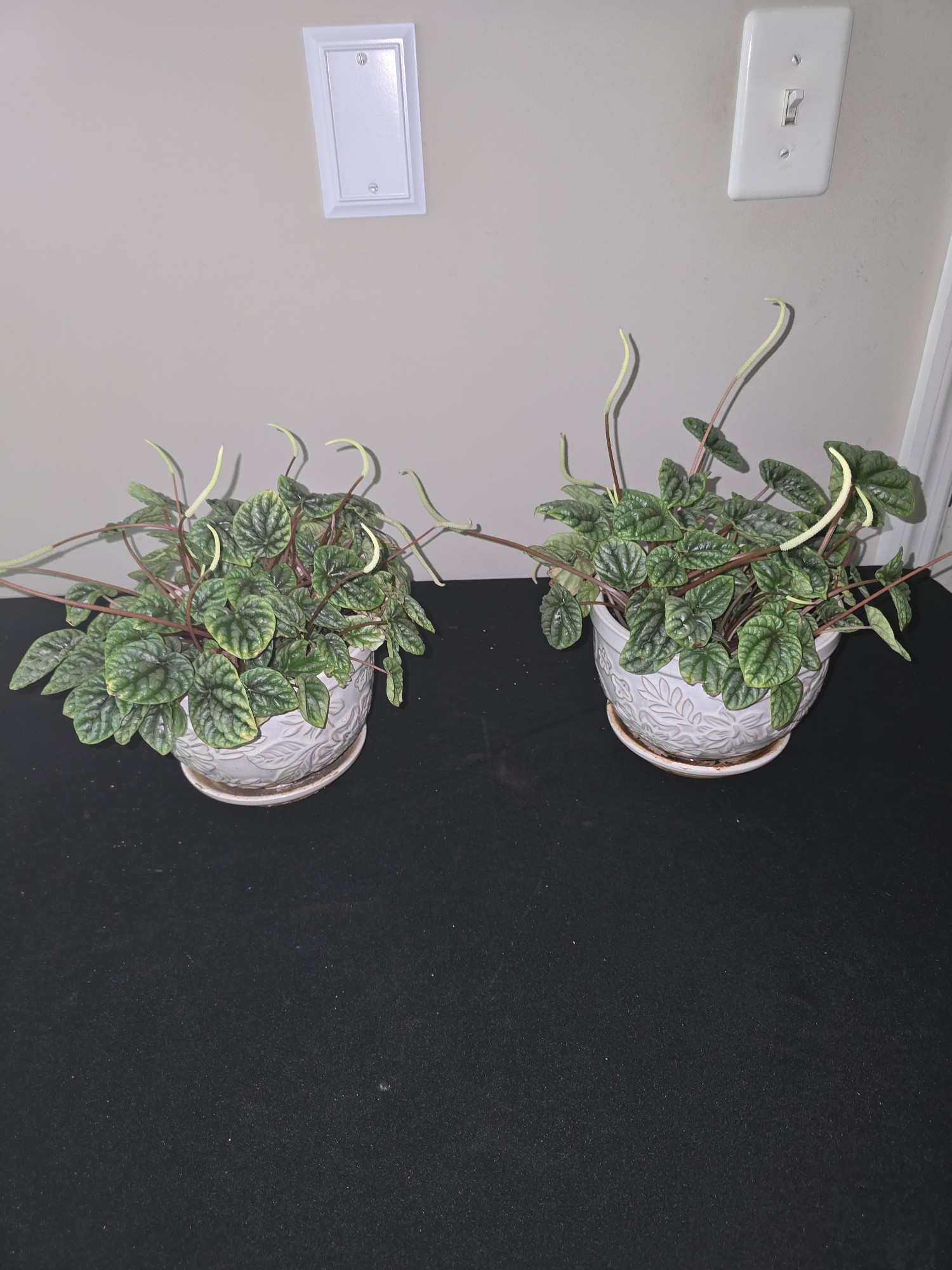 Lot image 1
