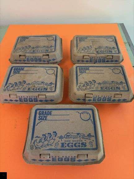 5 Dozen Craft Eggs