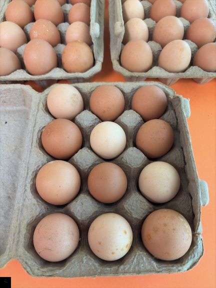 5 Dozen Craft Eggs