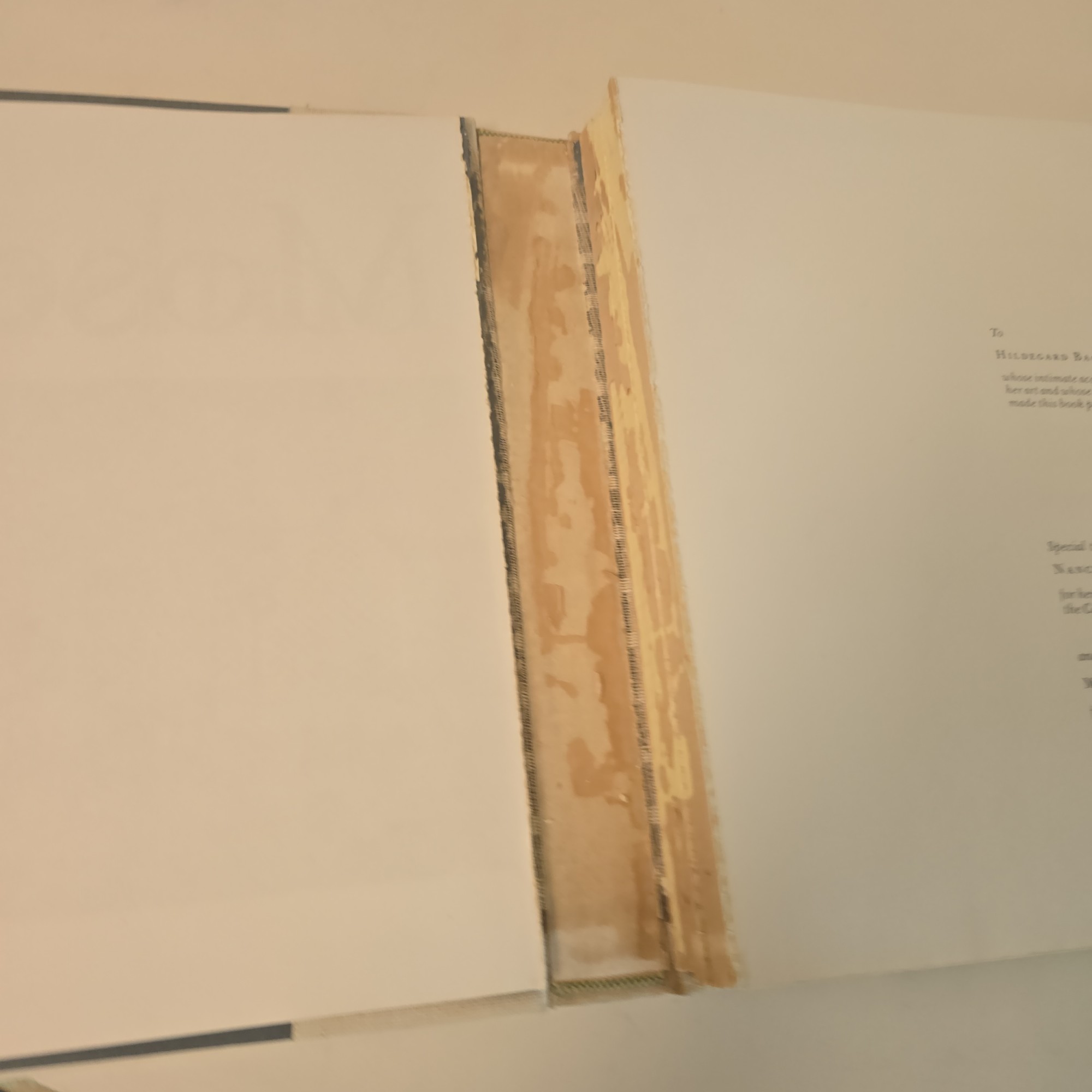 Lot image 3
