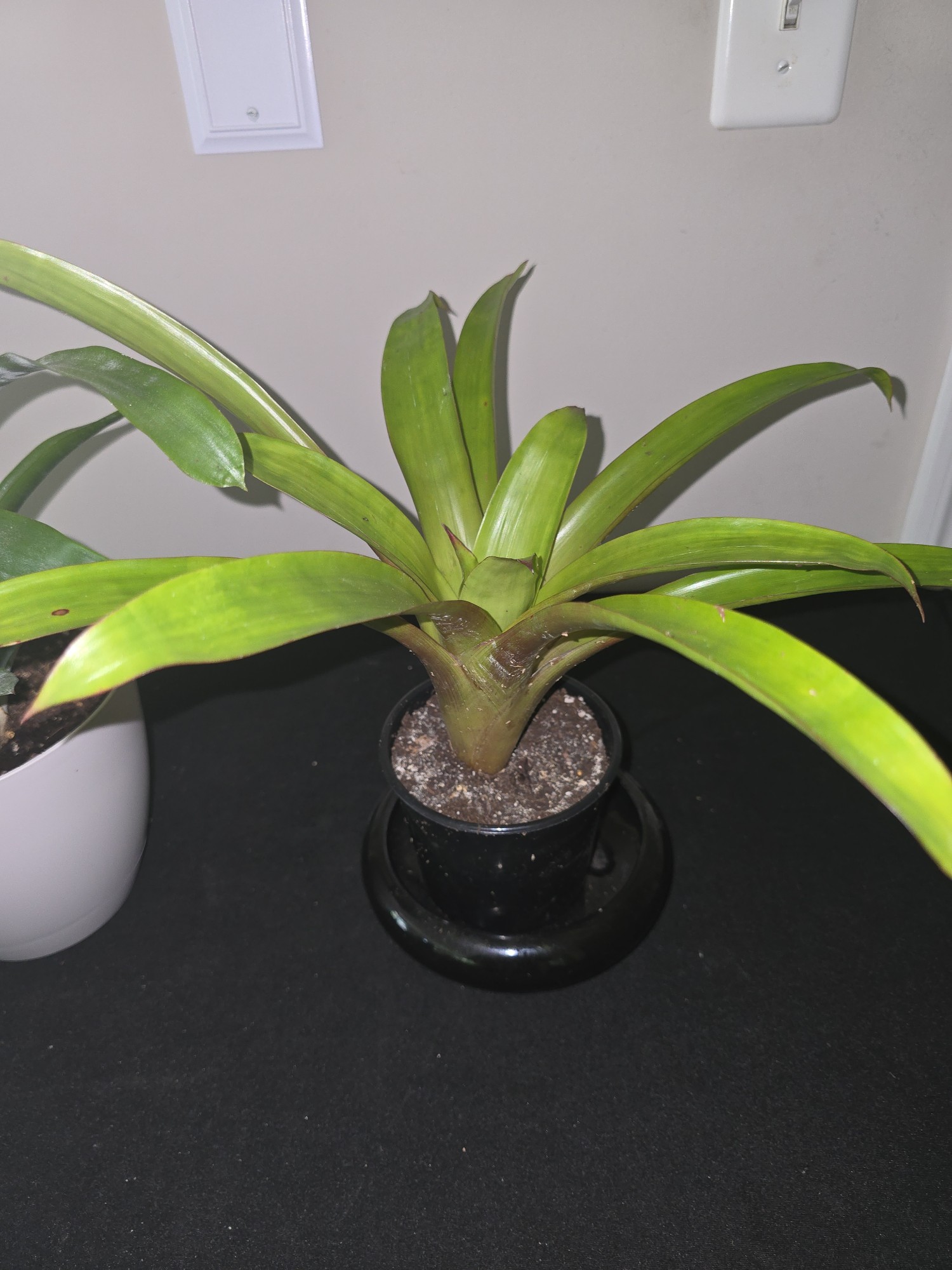 Lot image 3