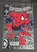 Marvel Comics Spider-man #1 Silver Cover