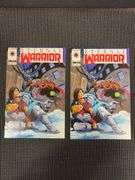 Eternal Warrior #10 Valiant Comics (2 Copies) May 1993