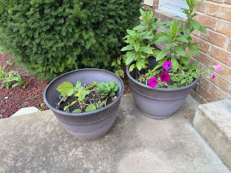 Pair of Planters