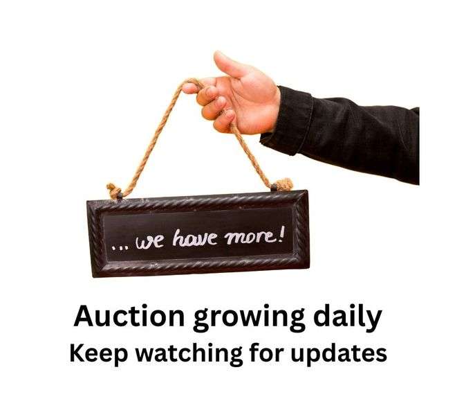 Auction Growing Daily - More Items Being Added image