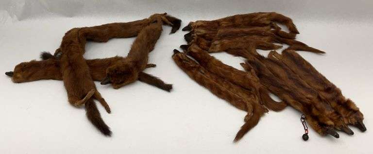 Lot of Stone Martin Fur Collars image