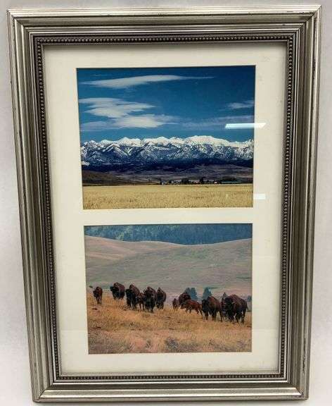 Framed Photo Print of Mountains and Bison - 17 x 23 image