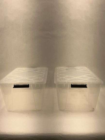 Set of 2 Storage Bins with Lids 21" x 15" x 10.5" image
