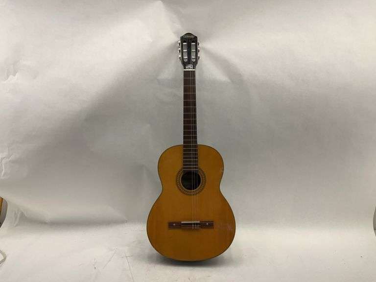 Valencia Model 600 Steel Reinforced Neck Guitar - 40x15 image