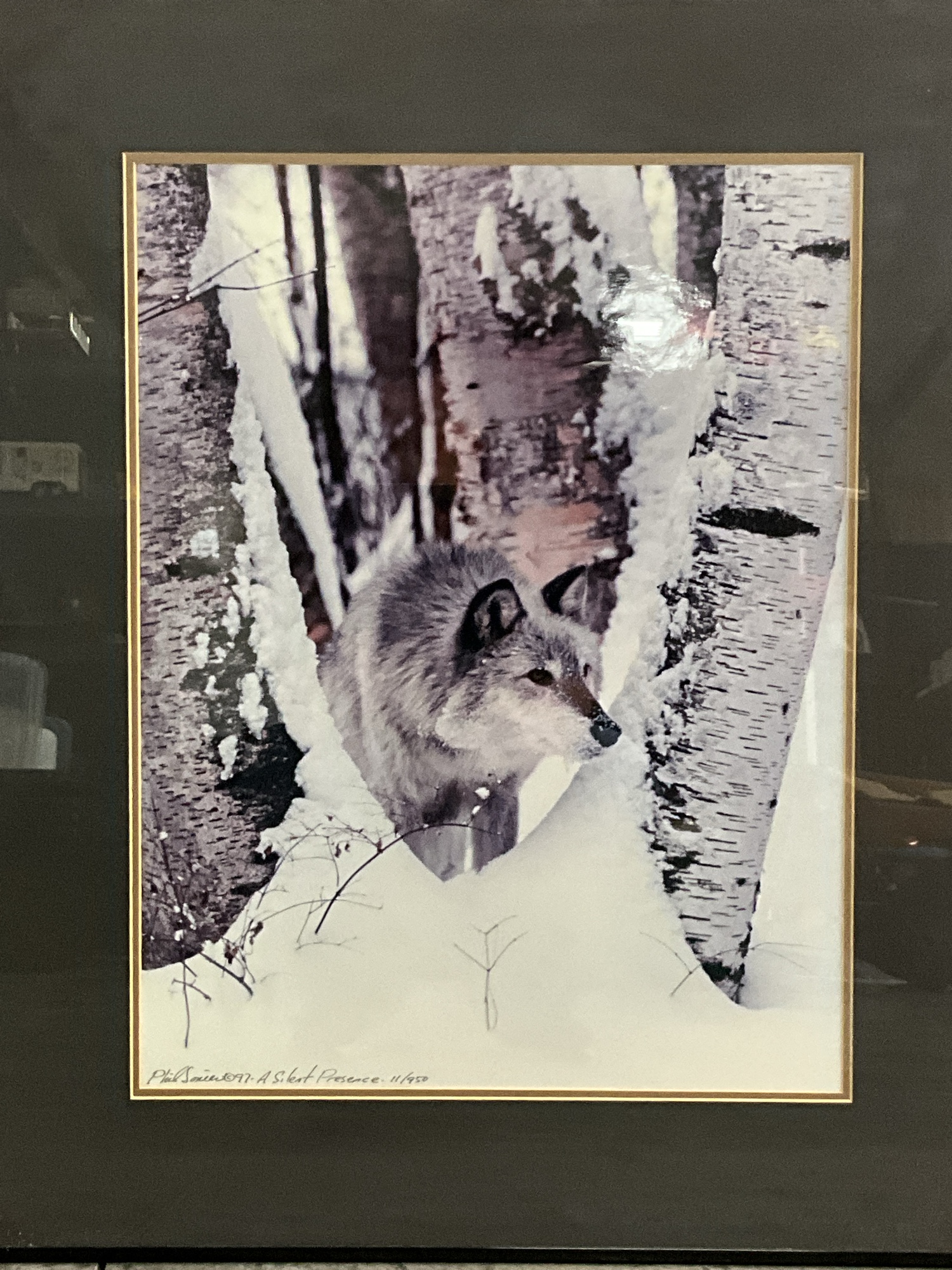 Lot image 2