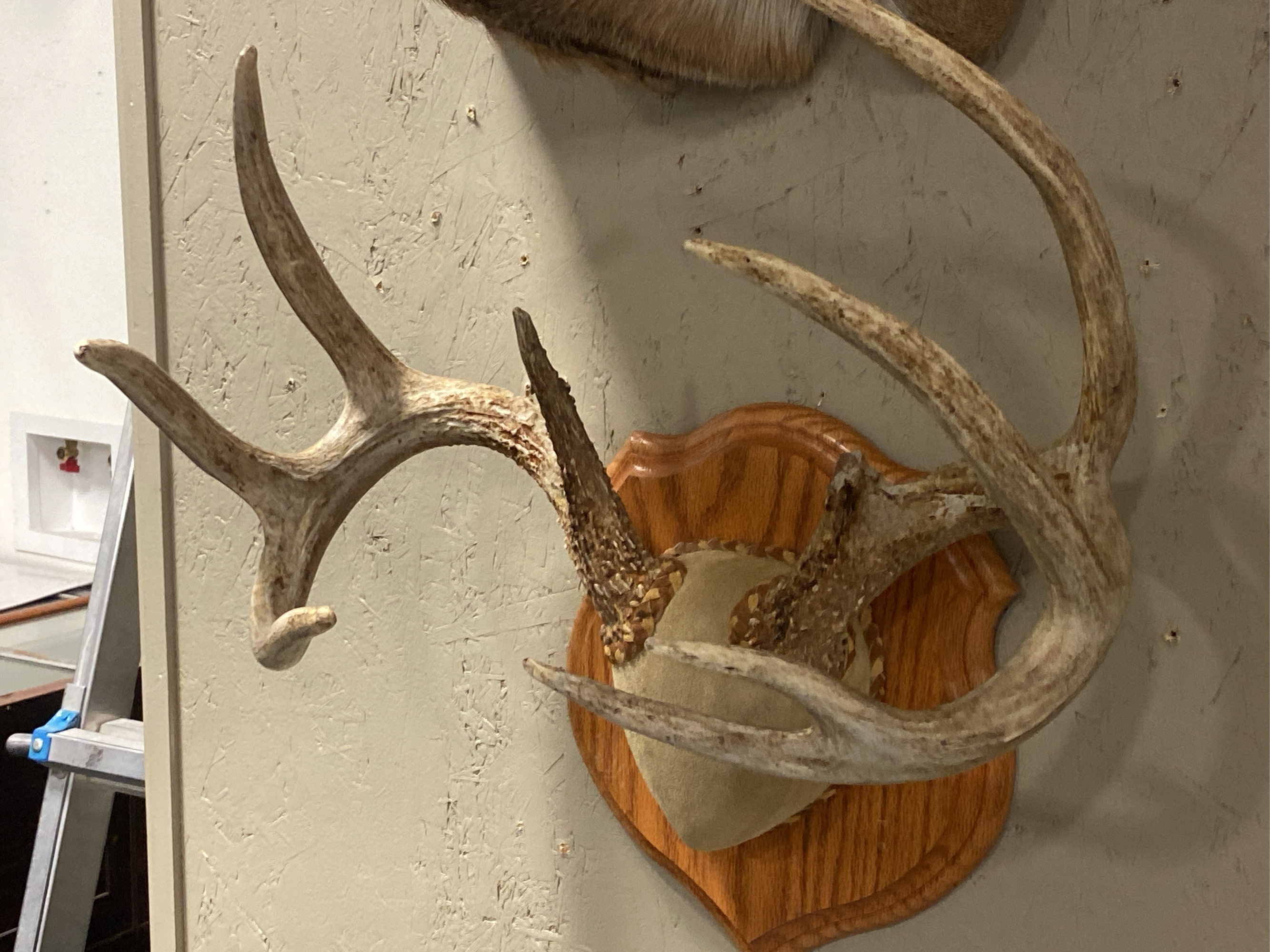 Lot image 3