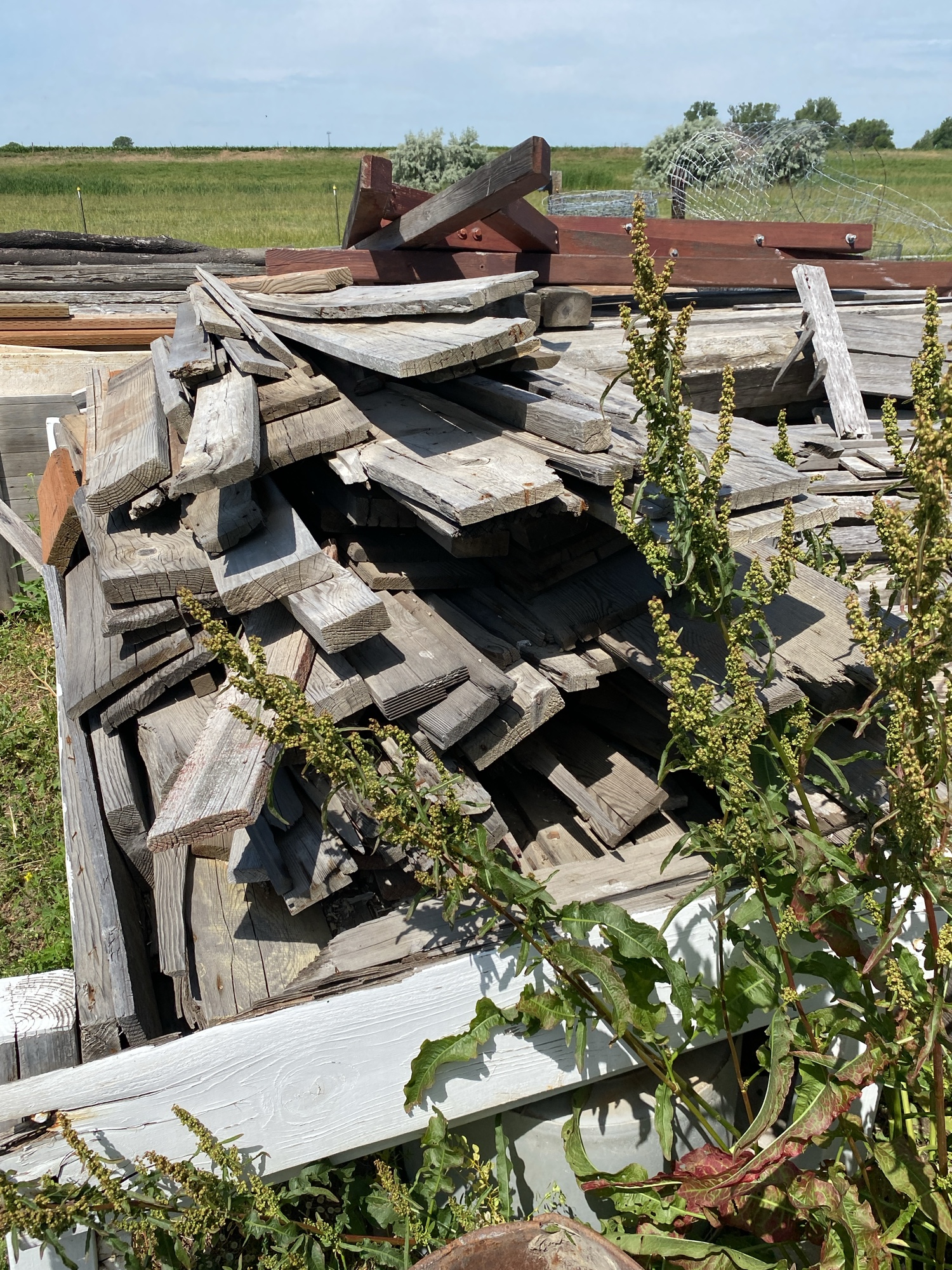 Lot image 4