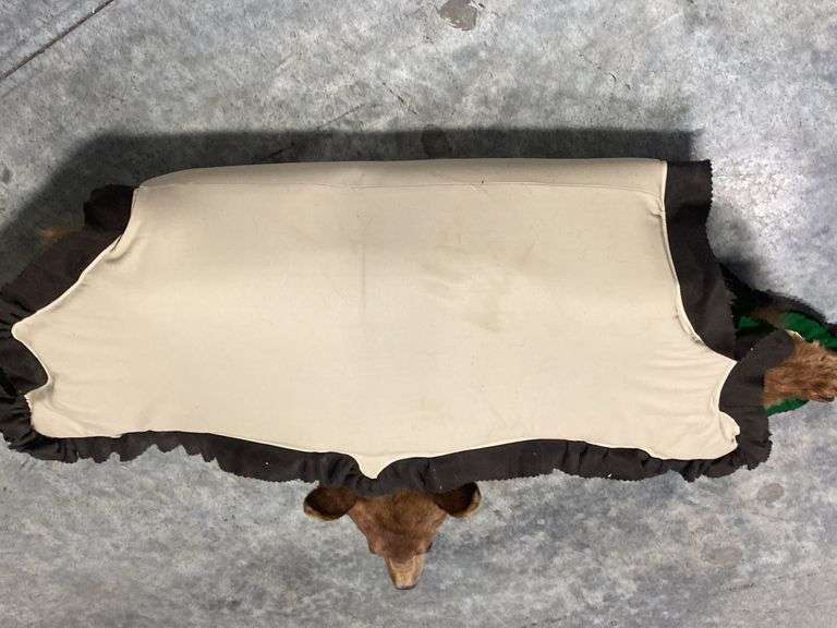 Cinnamon Black Bear Rug Taxidermy Mount