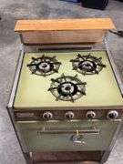 Premier Green & Wood Stove/Oven Combination